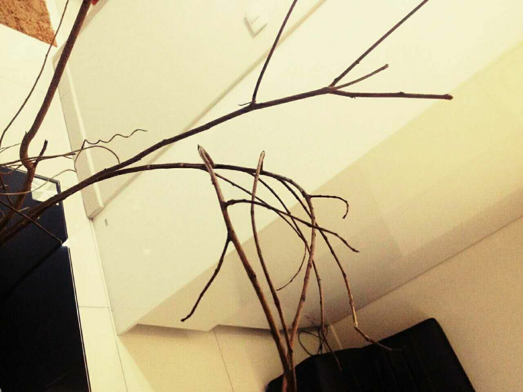 Sp Art Collection Condon 芭達亞 外观 照片